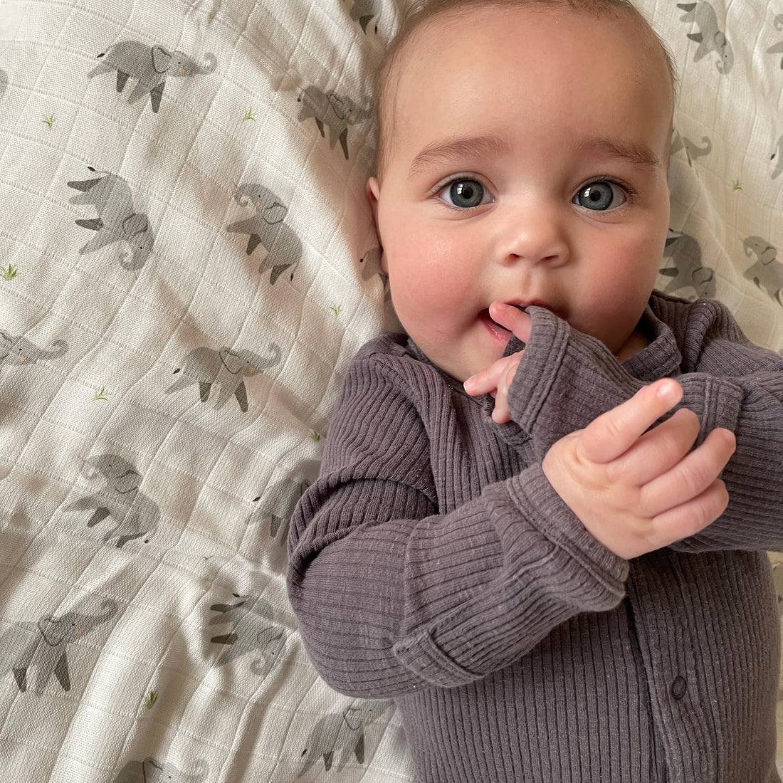 Winter Essentials for Babies