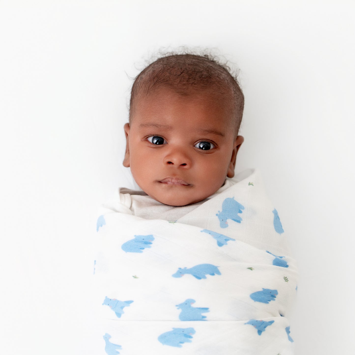 Hippo & Monkey Swaddle Set
