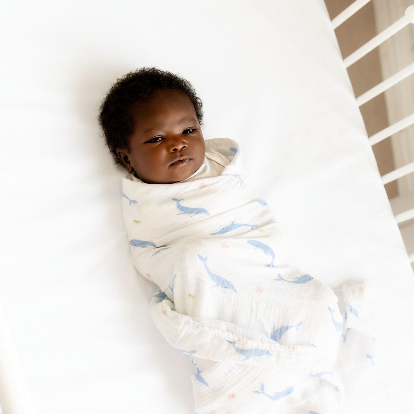 Whale Swaddle