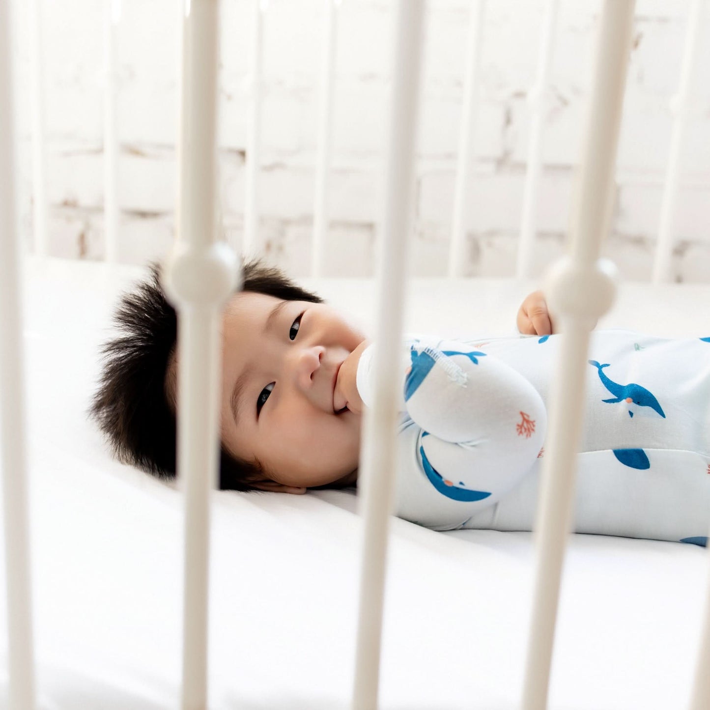 Whale Zippered Footie