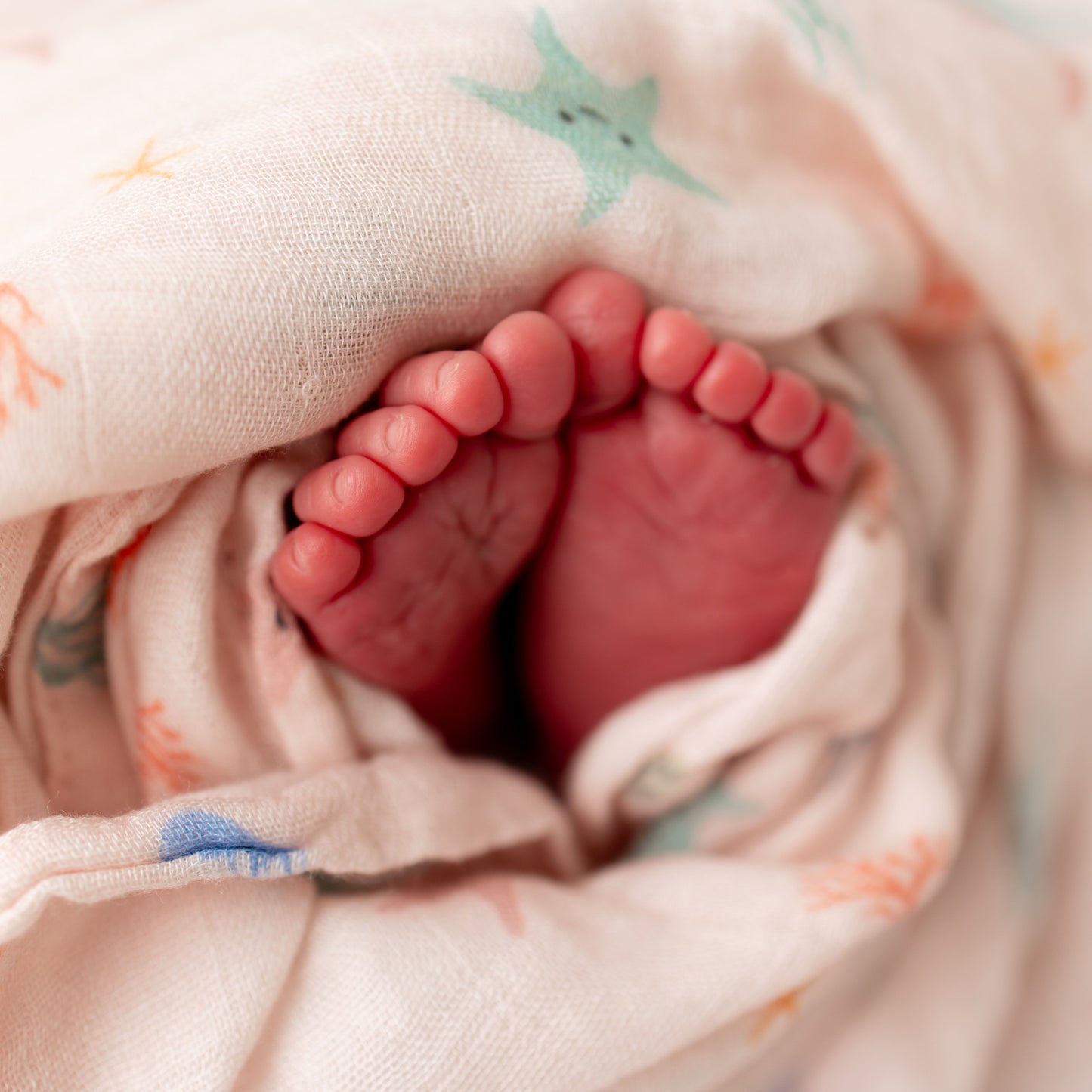 Starfish Swaddle