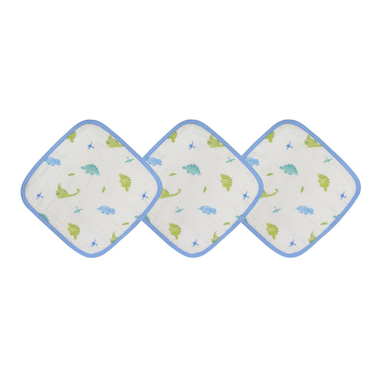 Dinosaur Washcloth Set