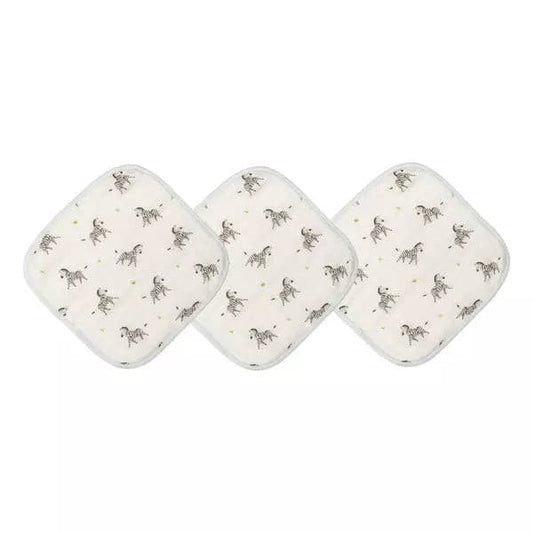baby washcloth set